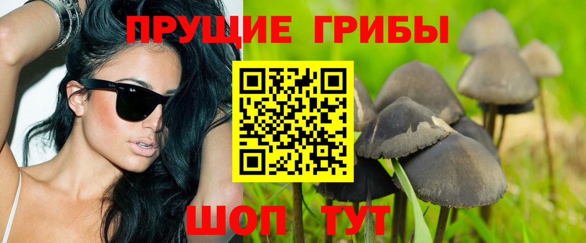 Россия  Псилоцибиновые грибы мухоморы  Вход с VPN 